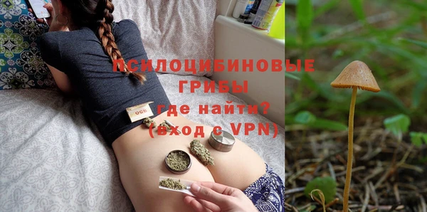 мдма Елизово