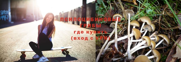 героин Ельня