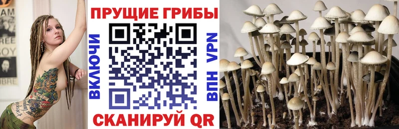 Псилоцибиновые грибы мухоморы  Купить закладки  Кизел 