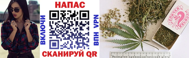Купить где  Кизел  Конопля OG Kush 